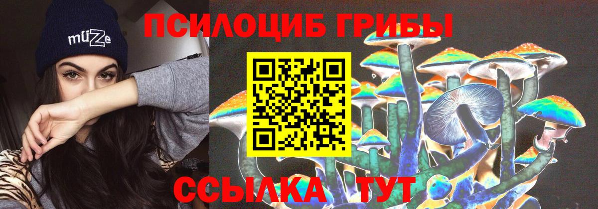 Галлюциногенные грибы Magic Shrooms Лыткарино