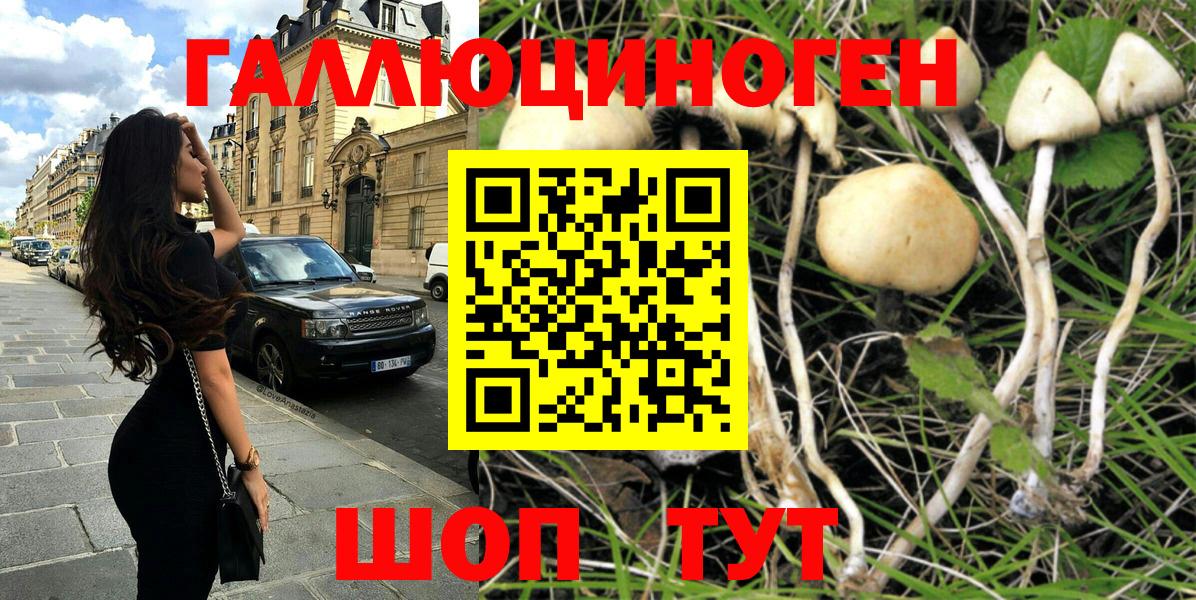 Псилоцибиновые грибы Psilocybine cubensis  Вход с VPN  Лыткарино 